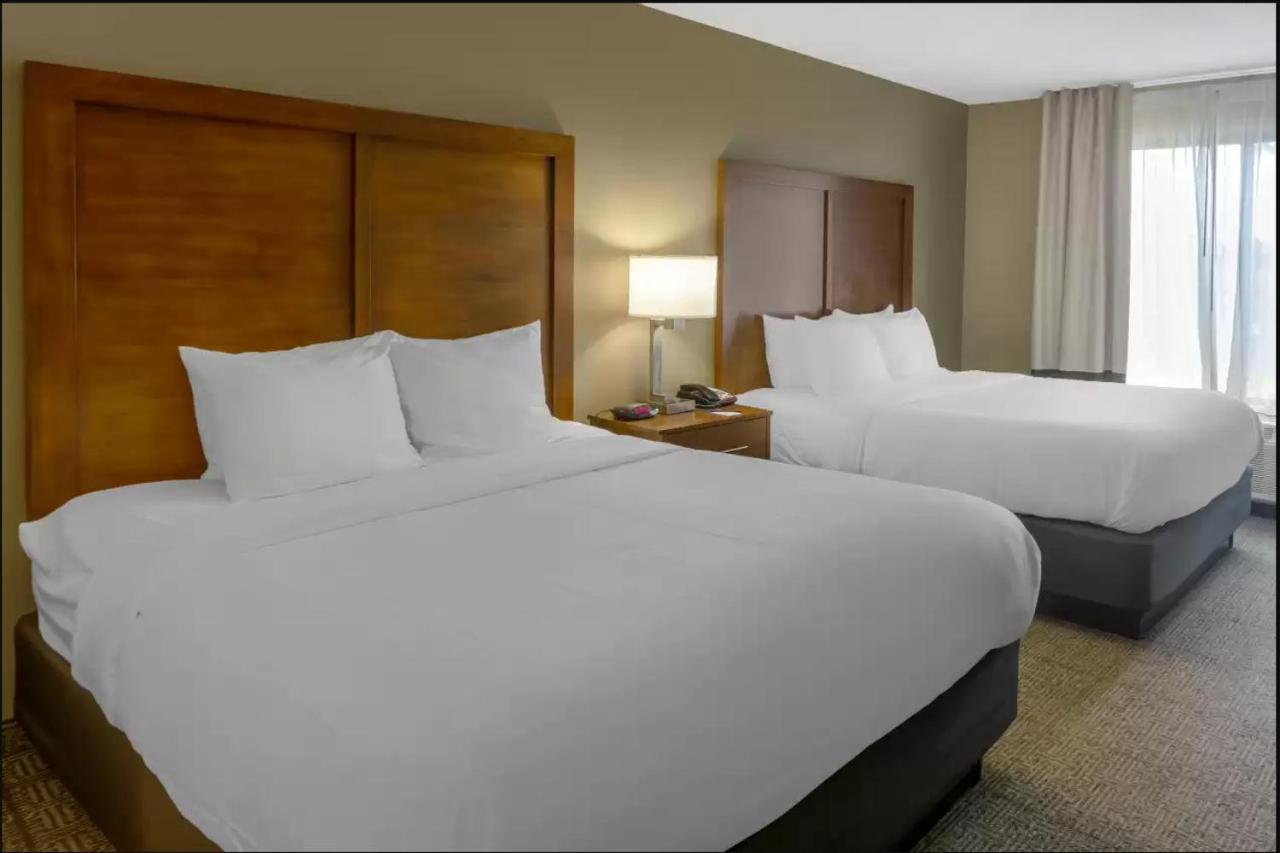 נורקרוס Comfort Inn & Suites Peachtree Corners מראה חיצוני תמונה