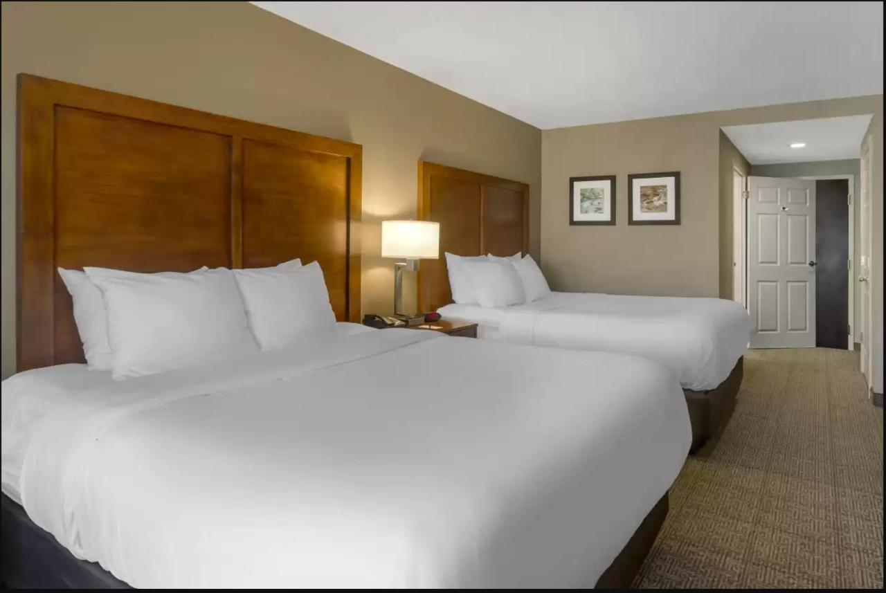 נורקרוס Comfort Inn & Suites Peachtree Corners מראה חיצוני תמונה