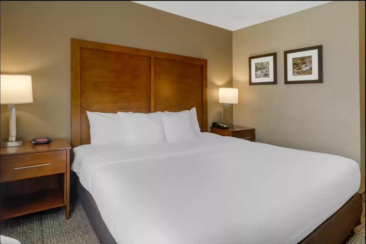 נורקרוס Comfort Inn & Suites Peachtree Corners מראה חיצוני תמונה
